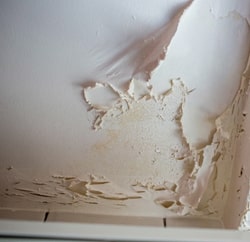 signs of water leakage - 3 peeling paint