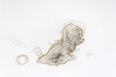 signs of water leakage - wet spots mould