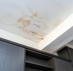 Signs of Roof Leakages - 1