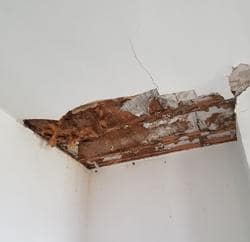 Signs of Roof Leakages - 4